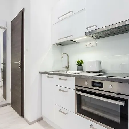 Bright Flat Downtown Klauzal * 布达佩斯
